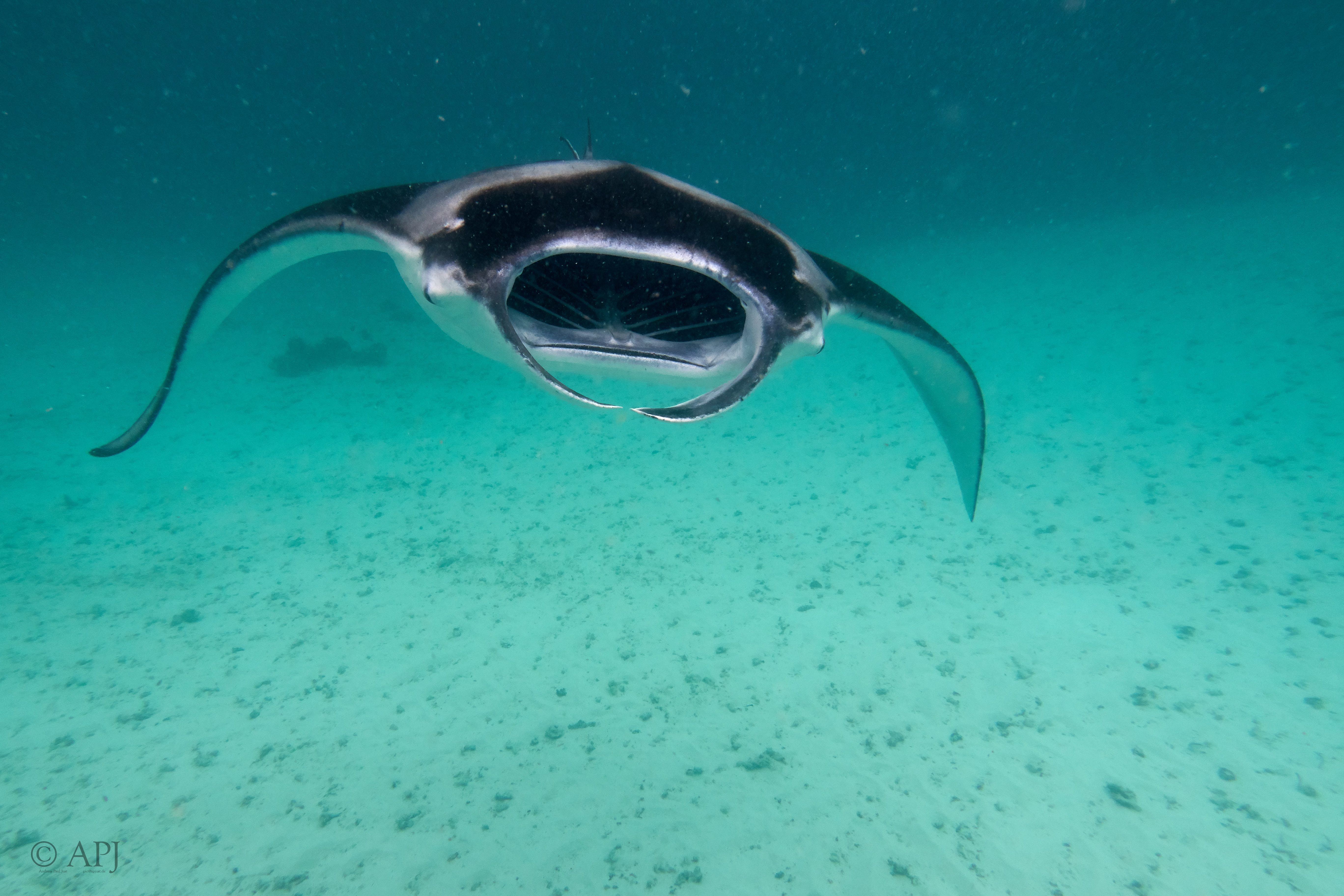 002715 17 08 17  Canon PowerShot G7 X Mark II   Malediven2017